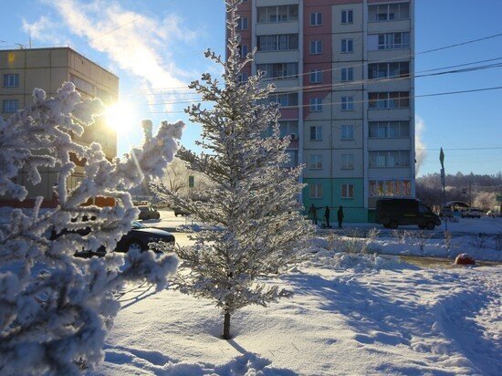     Фото: Юлия Боровикова