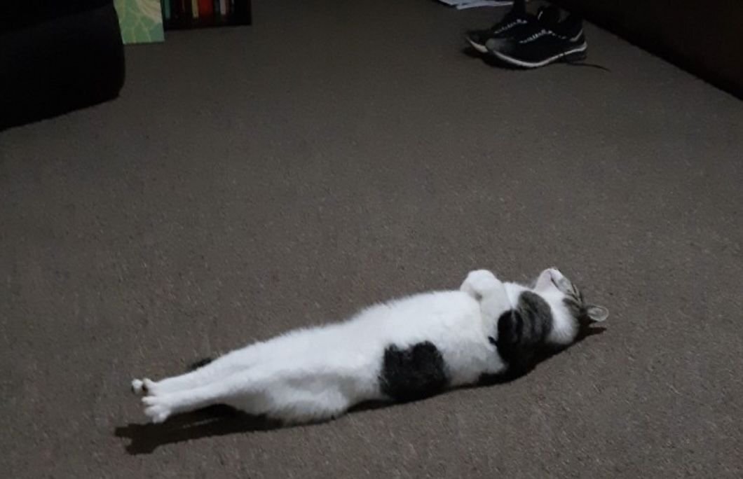 Изображение из свободного источника