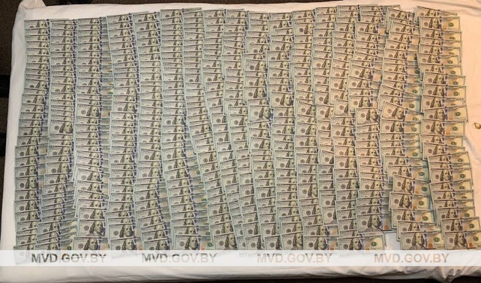     Фигуранты разделили добычу - взяли 70 тысяч долларов из 300 тысяч. Фото: МВД