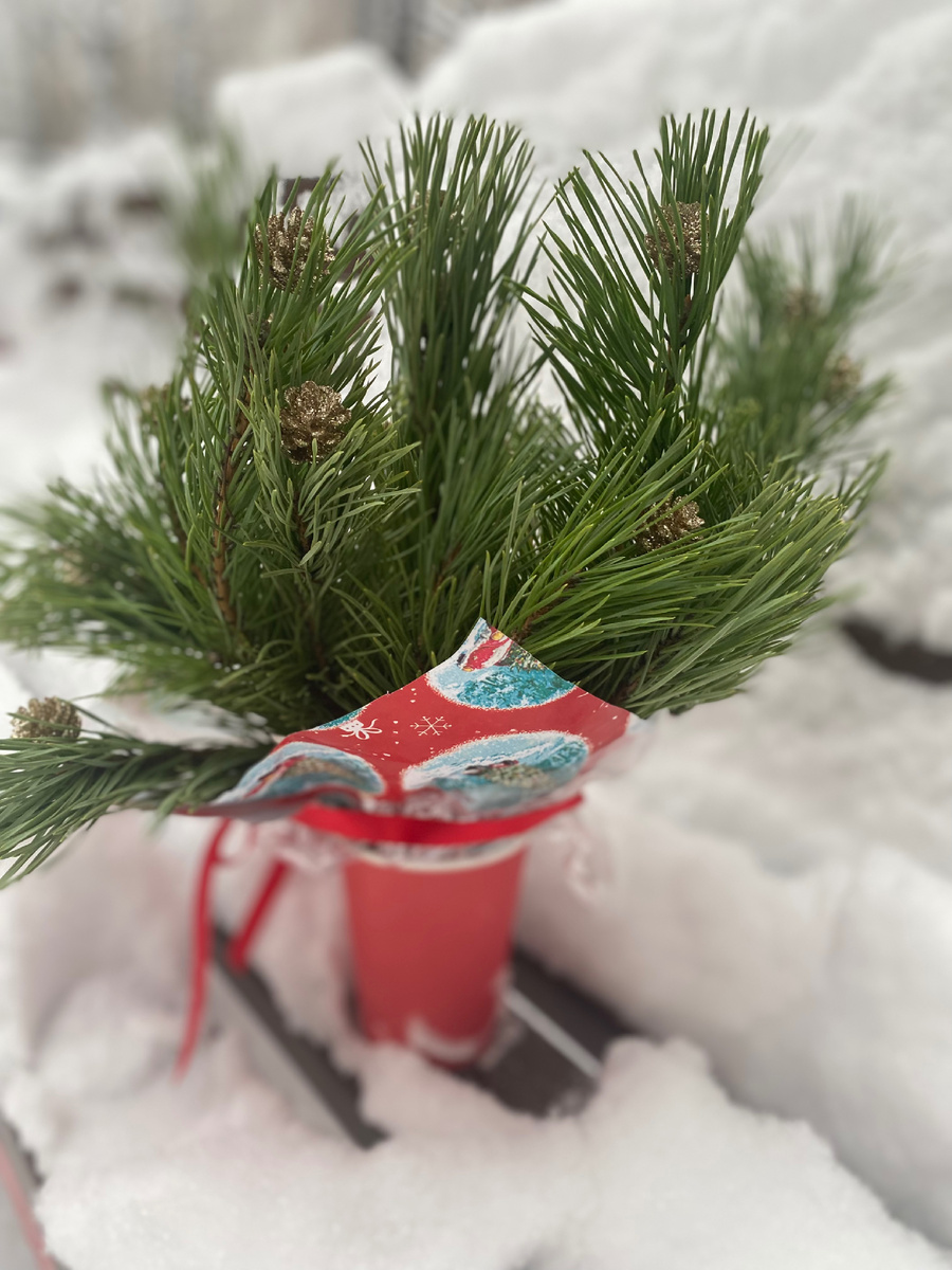 Фото из личного архива, Новогодняя композиция 