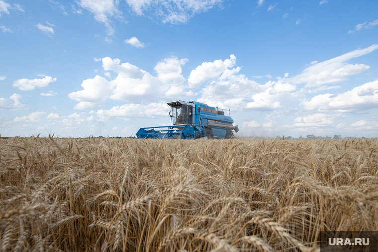    Африка не сможет стать прибыльным рынком для торговли удобрениями, считает Сергей Лисовский