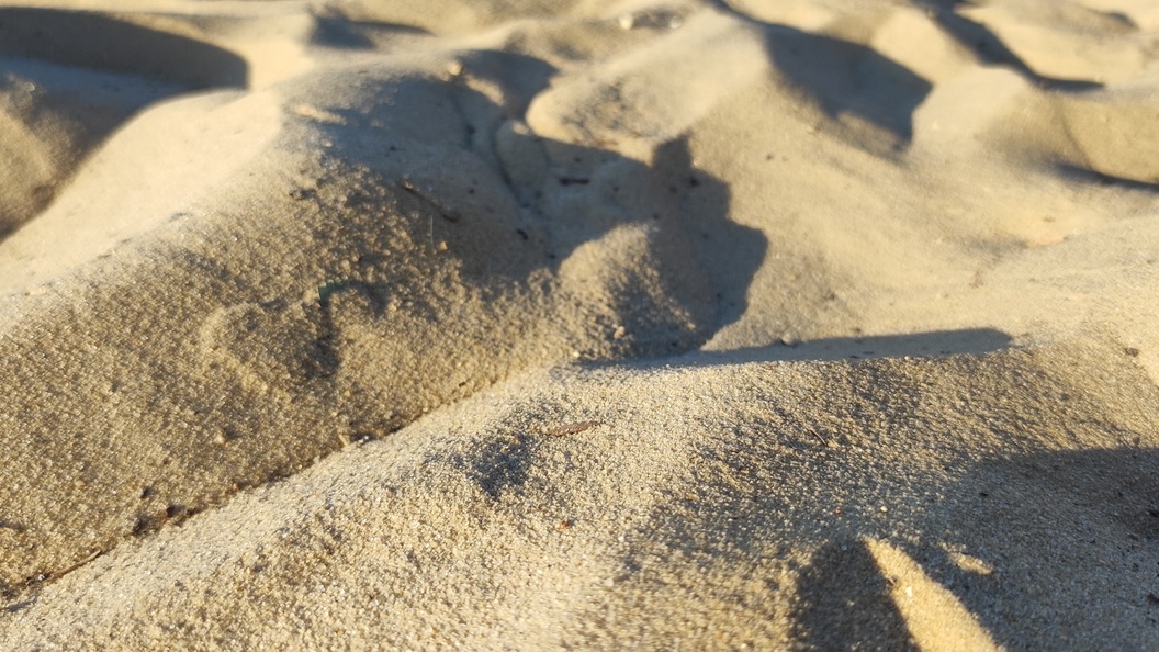    Фото: globallookpress.com