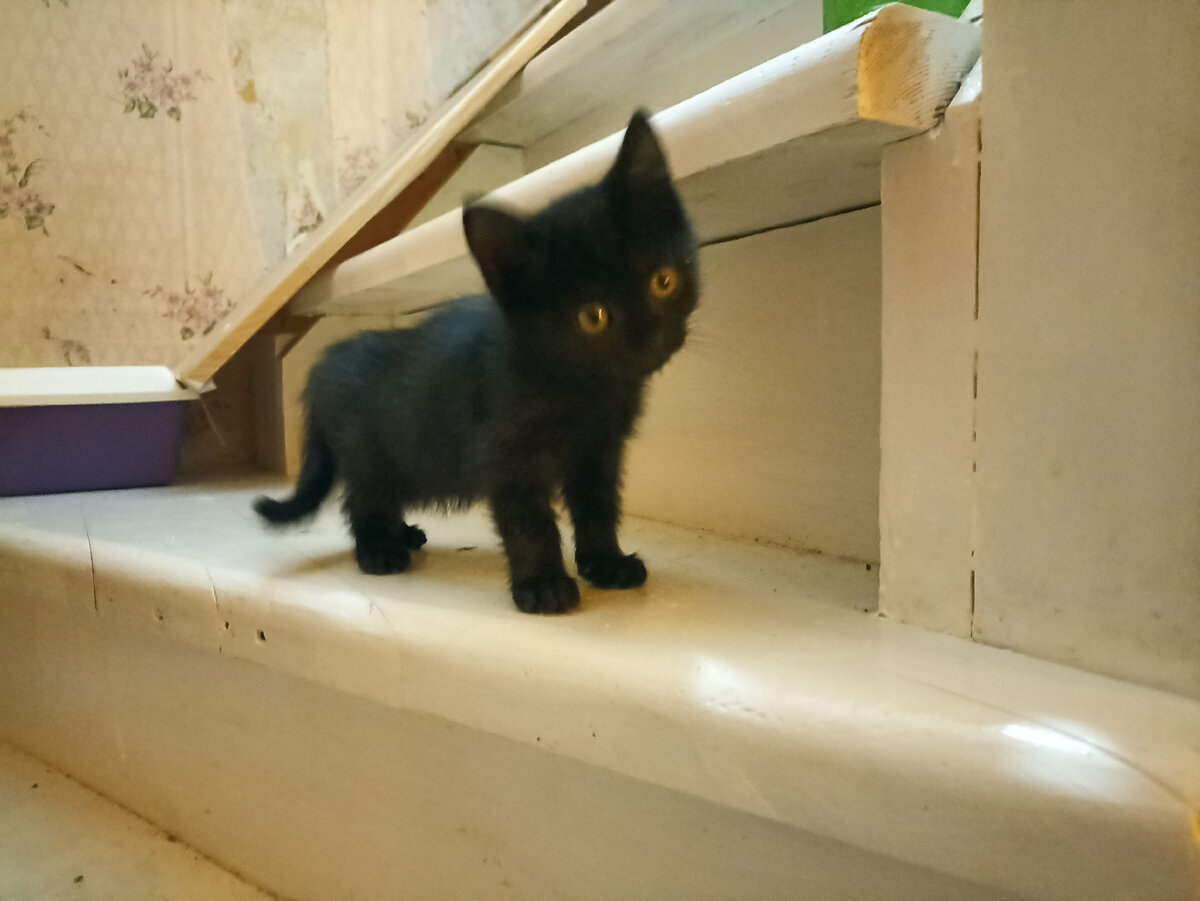 Листайте галерею