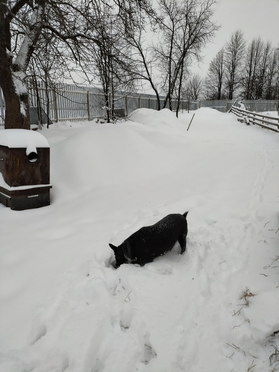 В этих холмах "дремлет" навоз