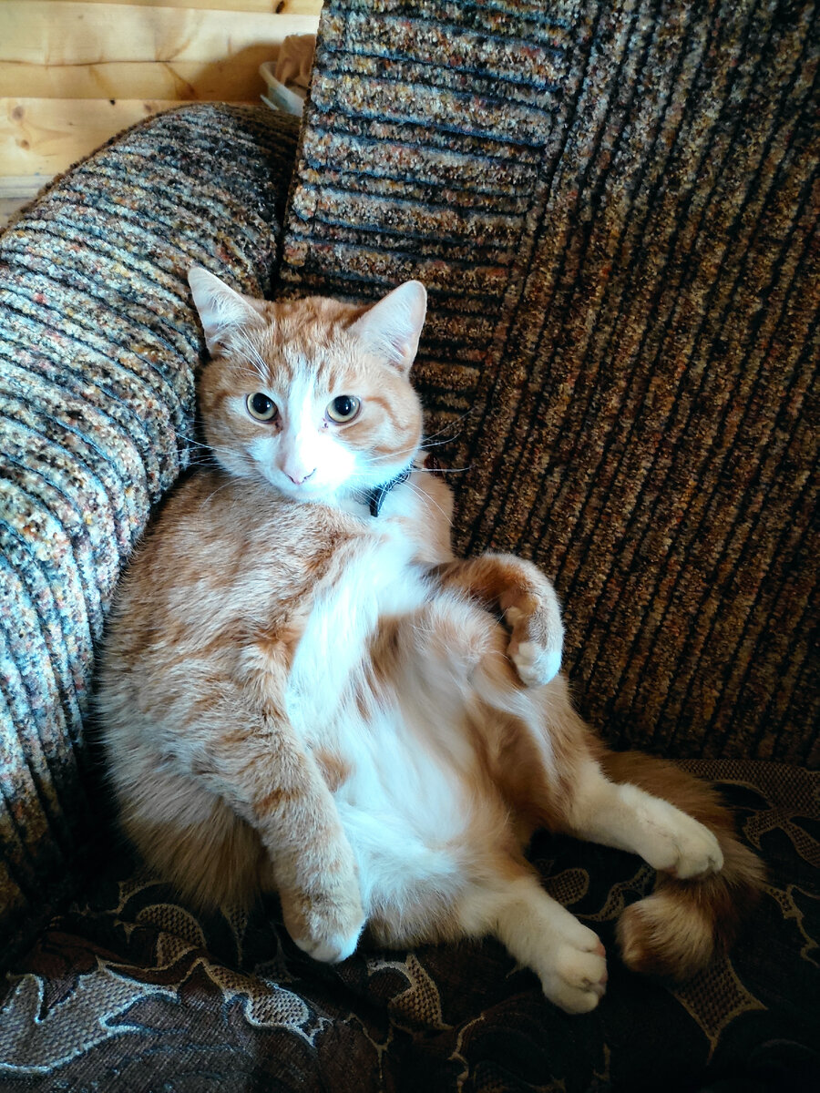 Бусик😻