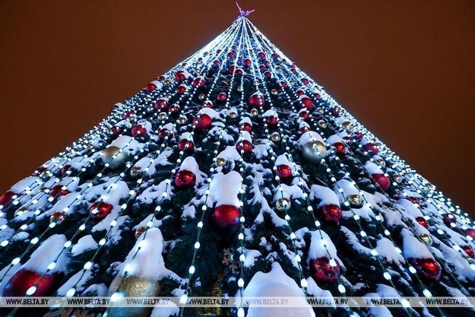     Главную елку Минска присыпало снежком, и она стала выглядеть еще более сказочно. Фото: БелТА