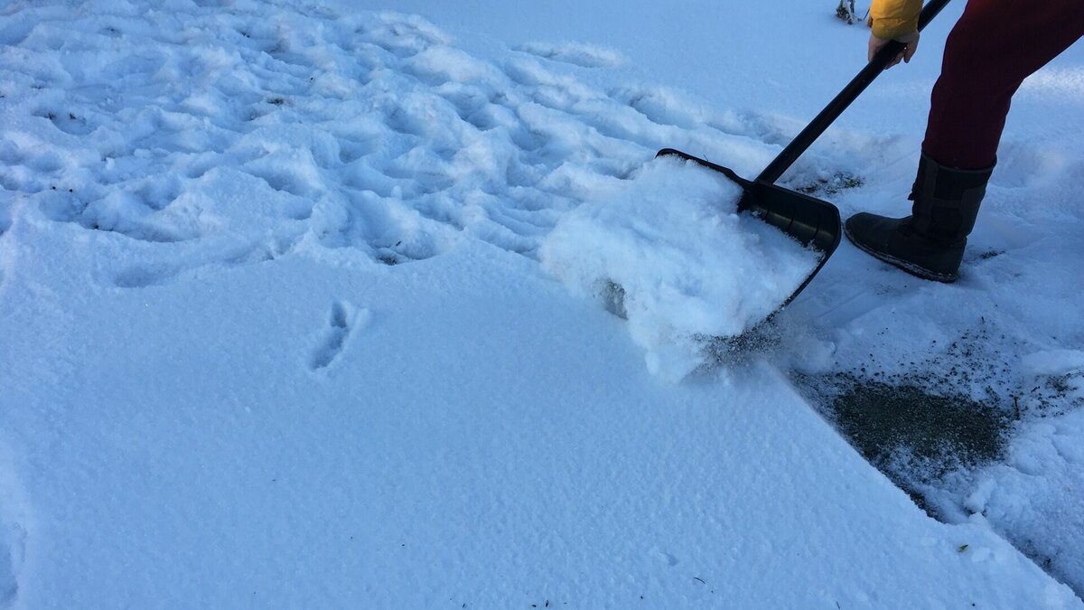     В Нижнем Новгороде второклассник лично очистил тротуар около своего дома от снега и наледи, так и не дождавшись дворников. Об этом говорится в Telegram-канале Ni Mash.