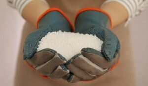    Фото: Shutterstock Ирина Амелина