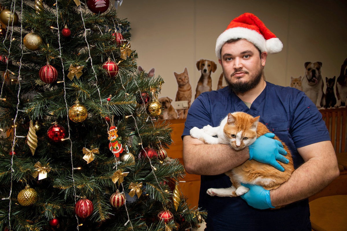 Помог Решату елку нарядить. Не шалил, гирлянду не трогал! 