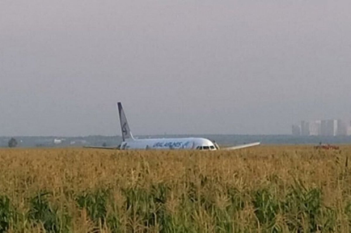    МАК закончил расследование жесткой посадки самолета на кукурузное поле