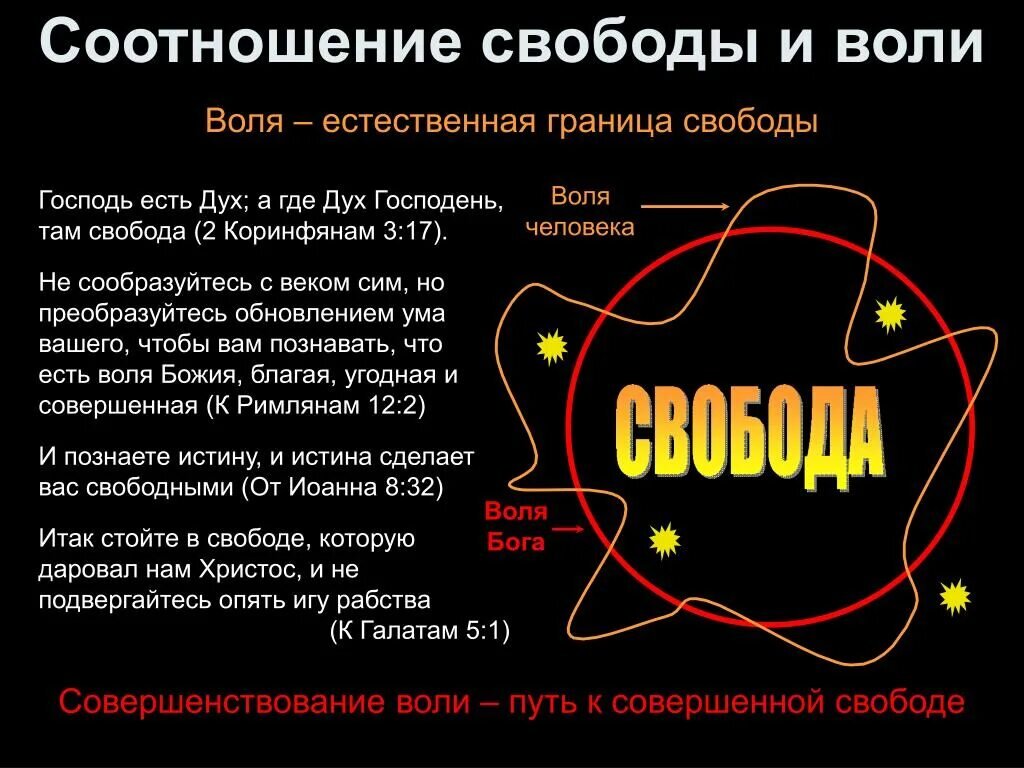 Из открытых источников Яндекса.