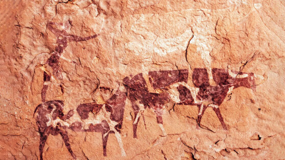    Разгадана тайна наскальных рисунков ледникового периода Татьяна Сидорова