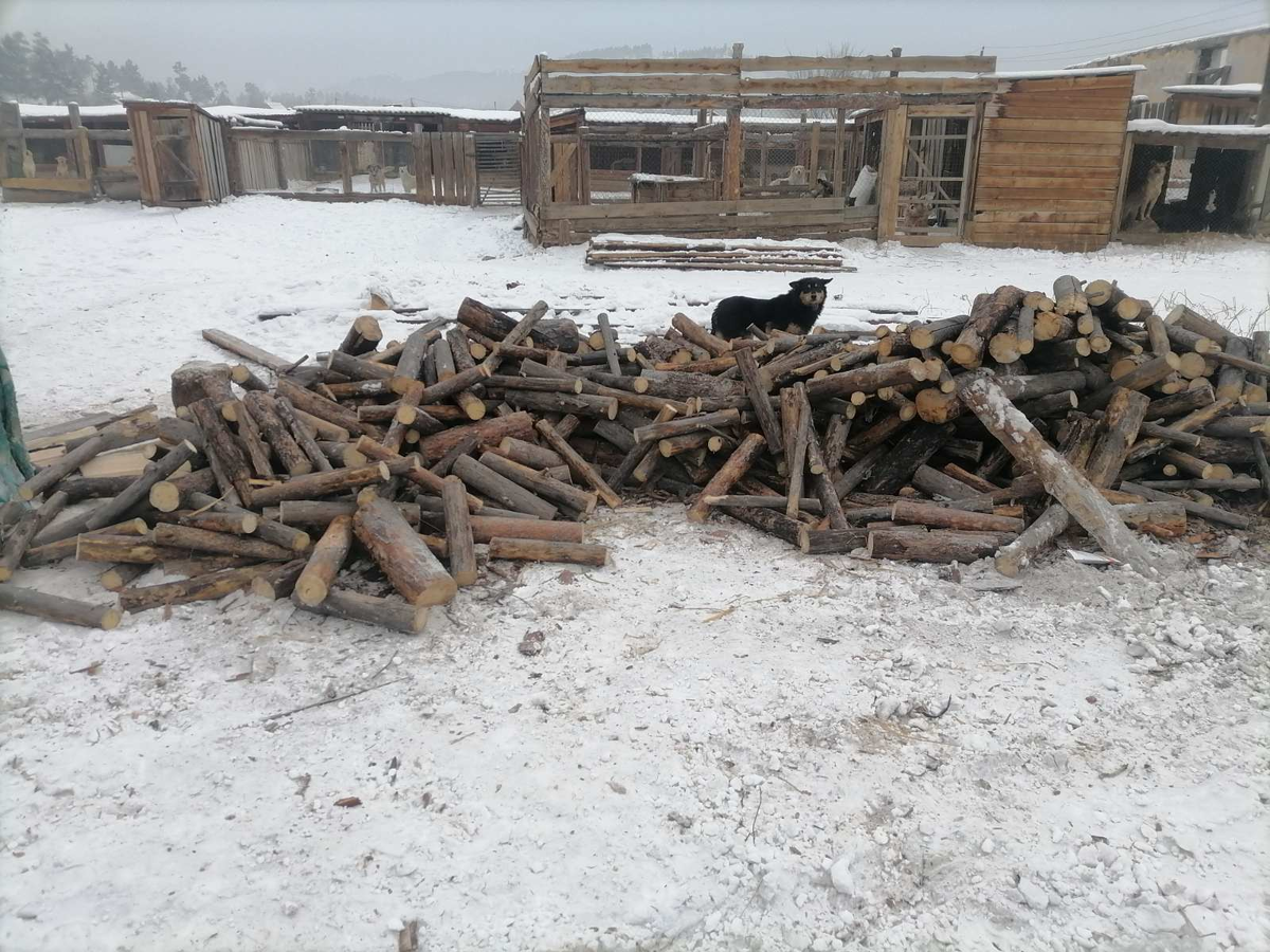 Леся на посту