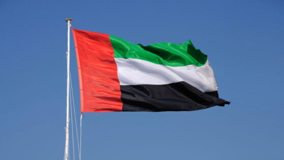    СМИ: ОАЭ предложили принять саммит лидеров РФ, Сирии и Турции Татьяна Плотникова