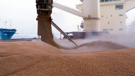    Нуждающиеся страны получили благодаря "зерновому коридору" всего 5,4% зерна Анна Черкесова