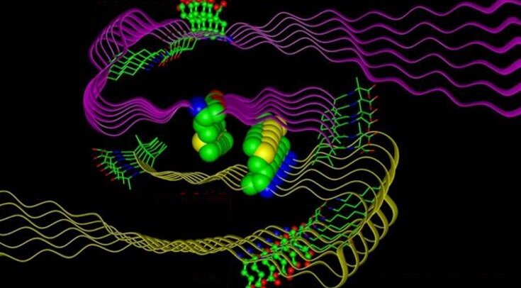     A-бета-42-амилоид Buyong Ma, Ruth Nissinov / Journal of Biological Chemistry, 2011