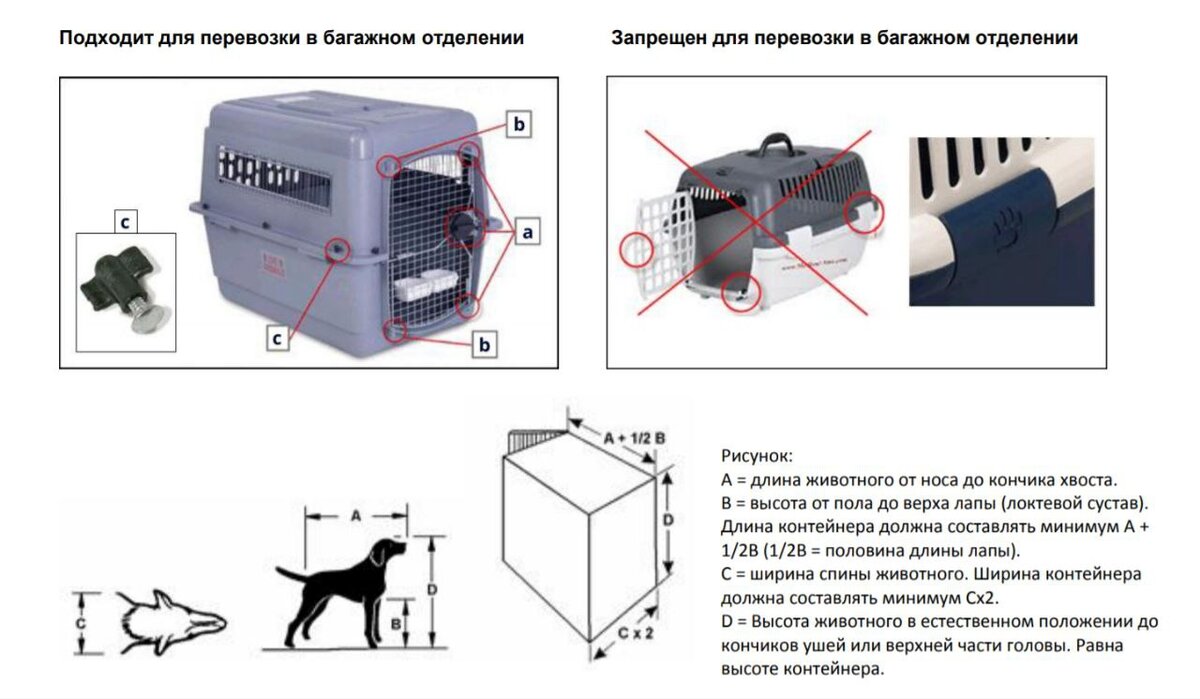 Переноска для кошек в самолет требования Аэрофлот