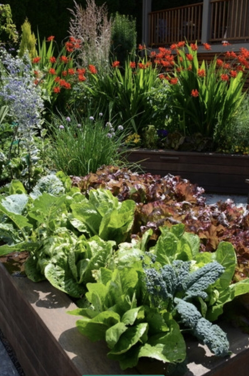 Фото из сети