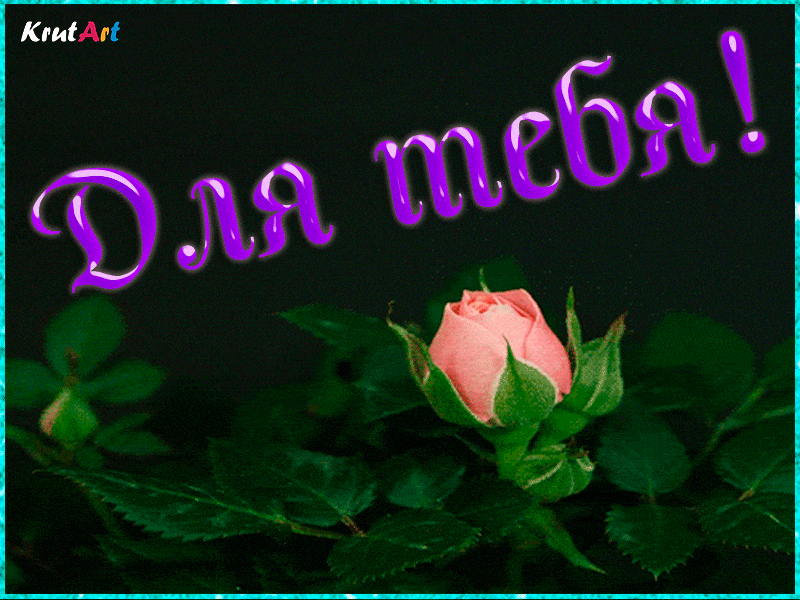 Красивая анимация, пожелание для девушки, комплимент своими словами «для тебя» от всего сердца. Музыкальное поздравление.