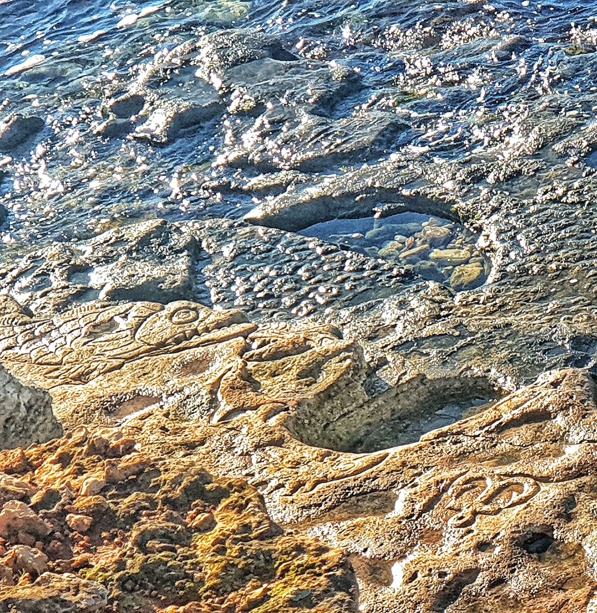 🔮Искусство и море в Казачьей бухте🌊 | ЖИЗНЬ С ВИДОМ НА МОРЕ🌊 | Дзен