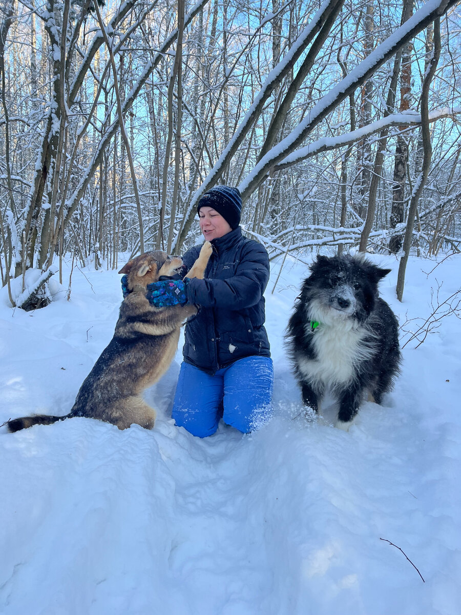 🐕 Собачий приют - это детдом для хвостов, где волонтеры - зоовоспитатели |  Юлия Буйницкая | Дзен