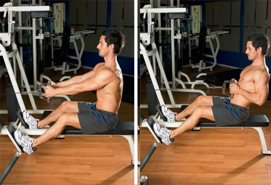 Источник фотографии: Яндекс картинки 