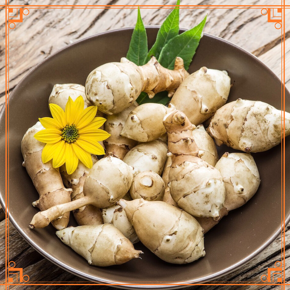 Источник фото: https://www.plantura.garden/?p=5971