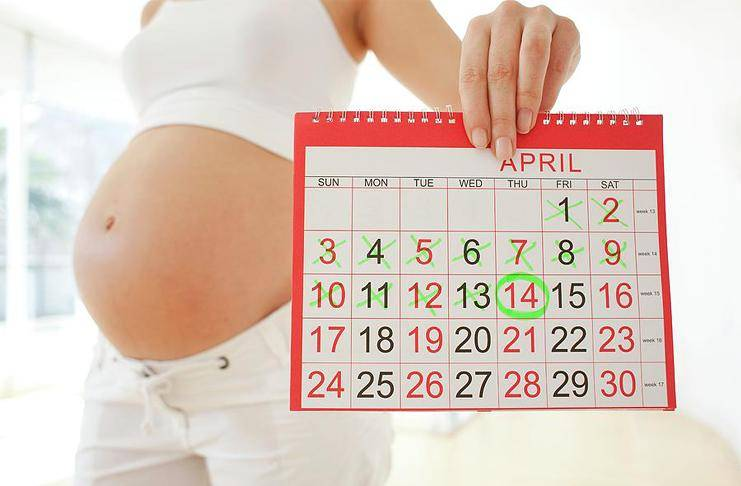 Как рассчитать дату рождения ребёнка?