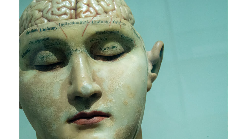    Фото: david matos / unsplash.com