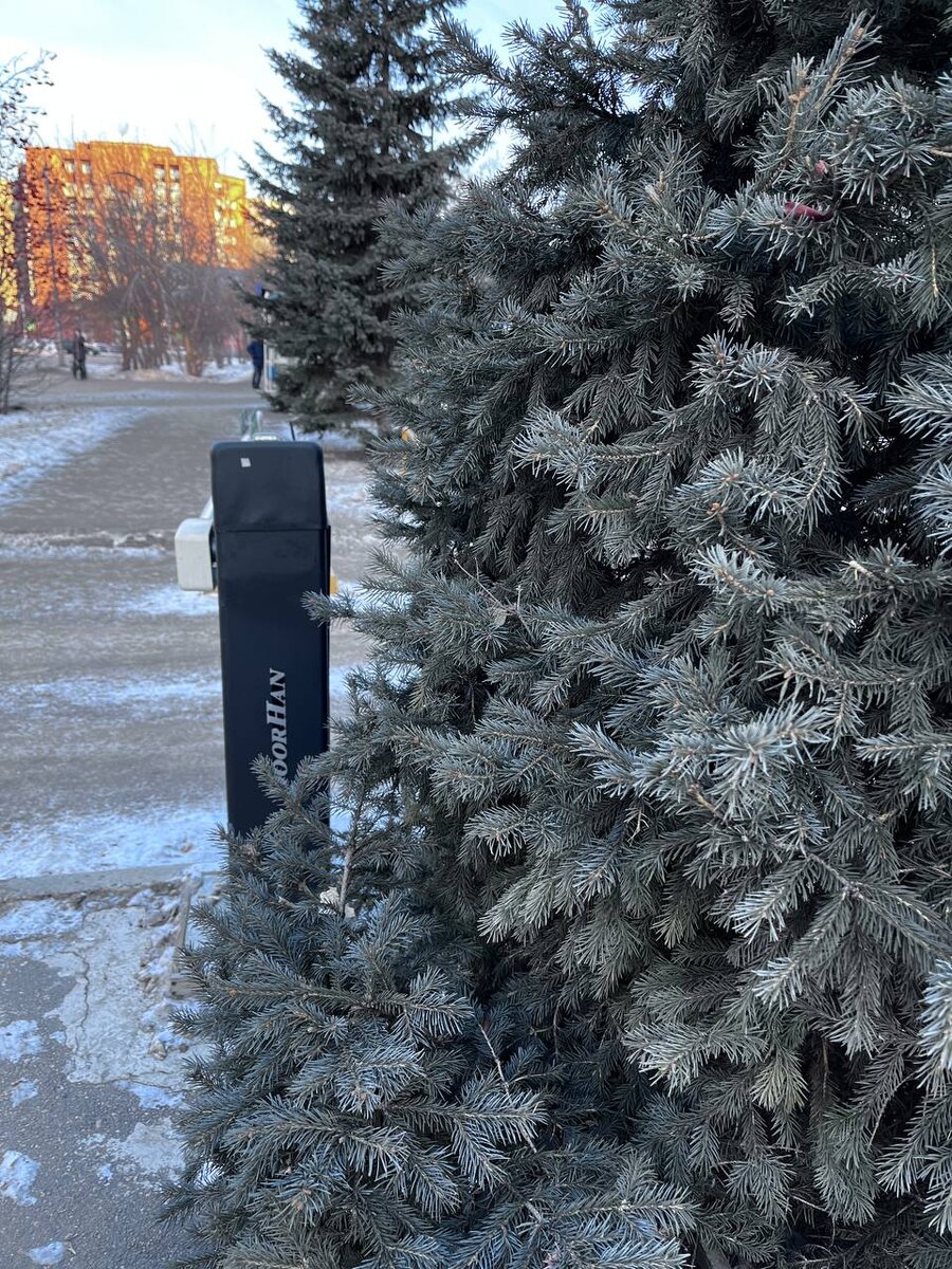 Пушистая какая...