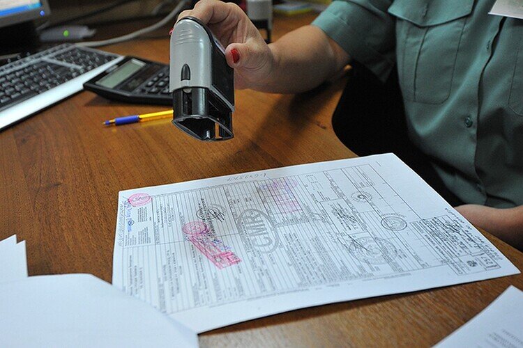 Фото из открытых источников.