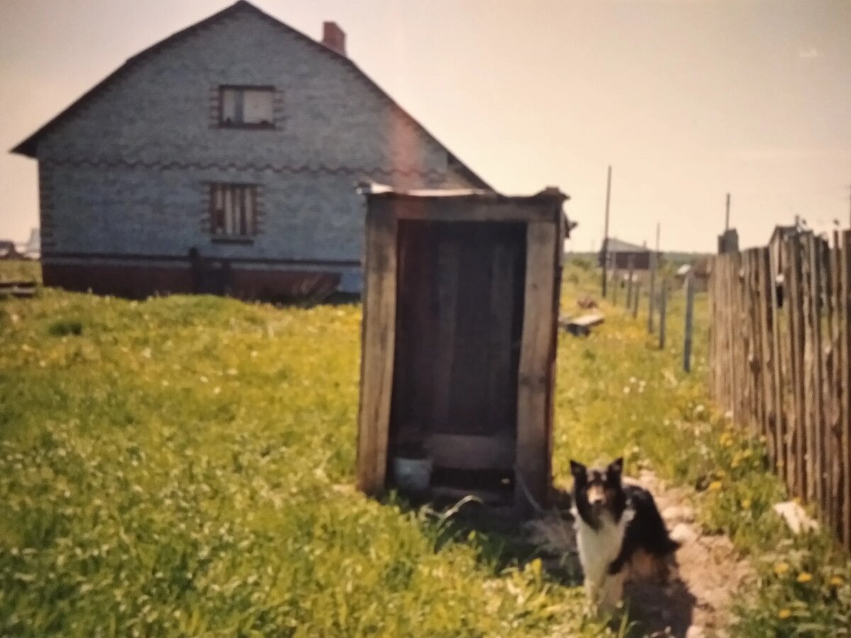 Здесь уже трава скошена и забор временный сделан. И даже туалет-дворец :)) И вообще - дом с окнами и дверями. И с пушистой охраной :) А значит жилой ))