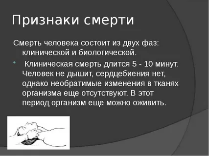 «Немного жив». Что происходит с мозгом и телом человека после смерти? | Аргументы и Факты