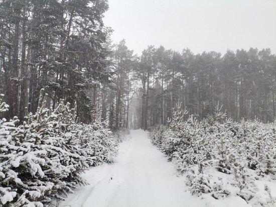   МК в Бурятии