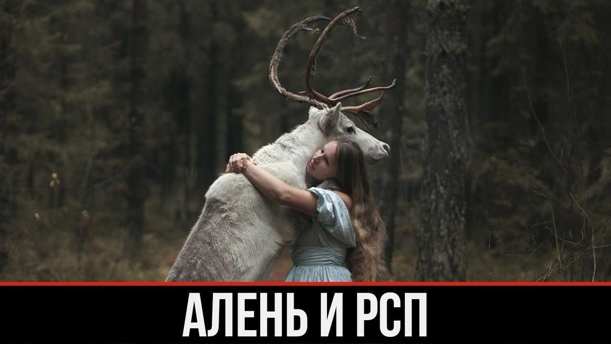 Олень и РСП. Мужик олень. Настоящий мужчина олень. РСП ищет оленя. Женские рогоносцы