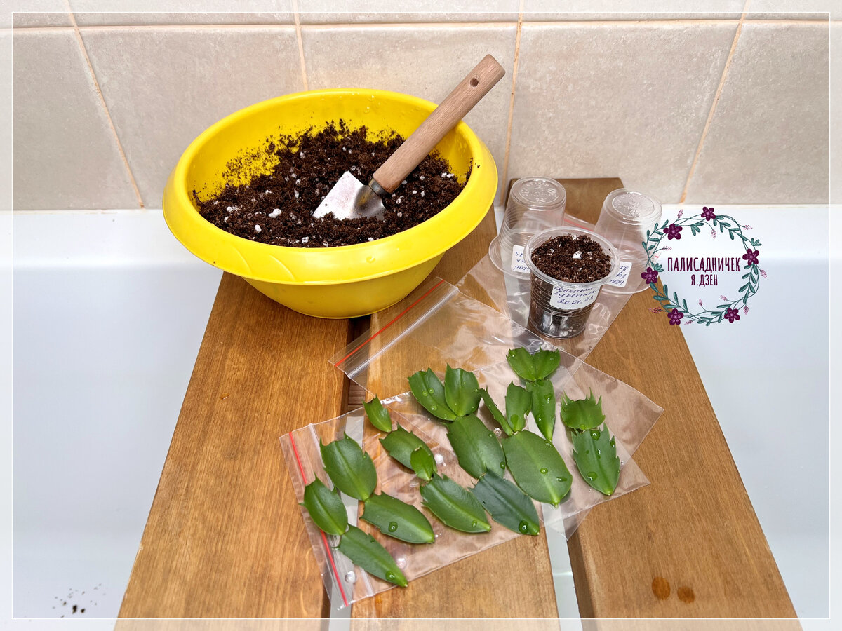 Как-то так я обычно готовлю своё рабочее местечко :)