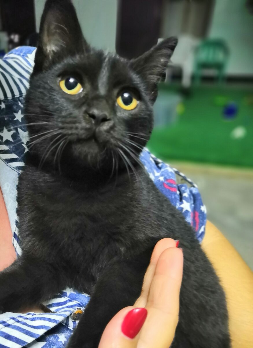 Фото автора.