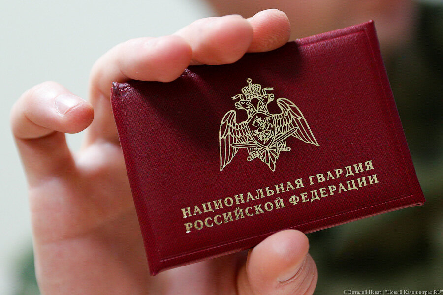 Фото: Виталий Невар / Новый Калининград