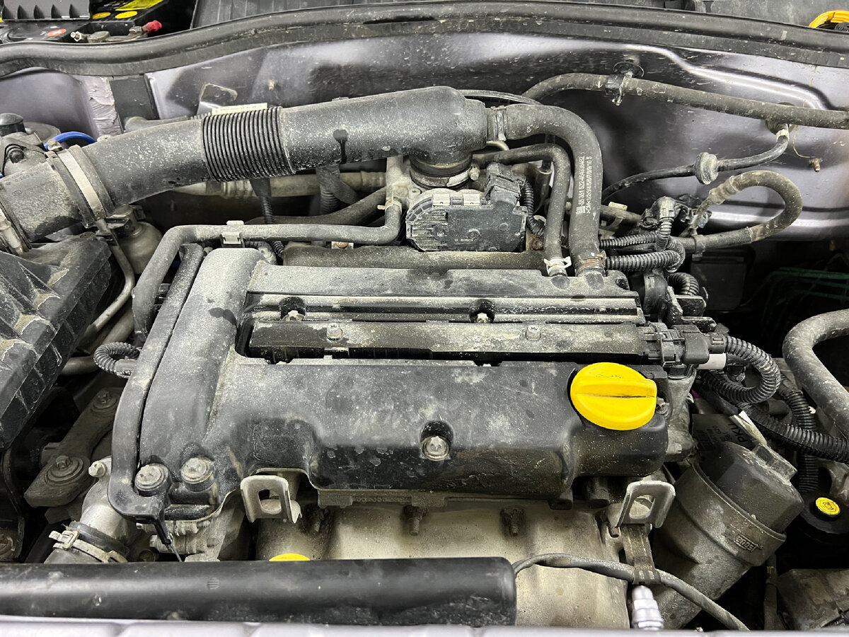 Вот он прекрасный надежный экономичный двигатель Z12XEP