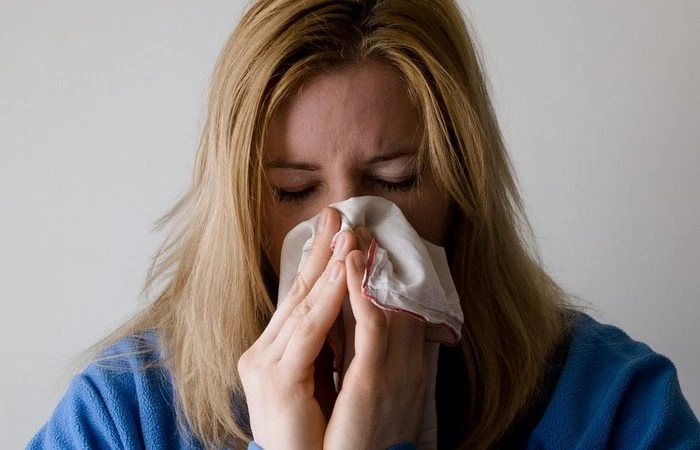 Фото: pxhere.com/СС0