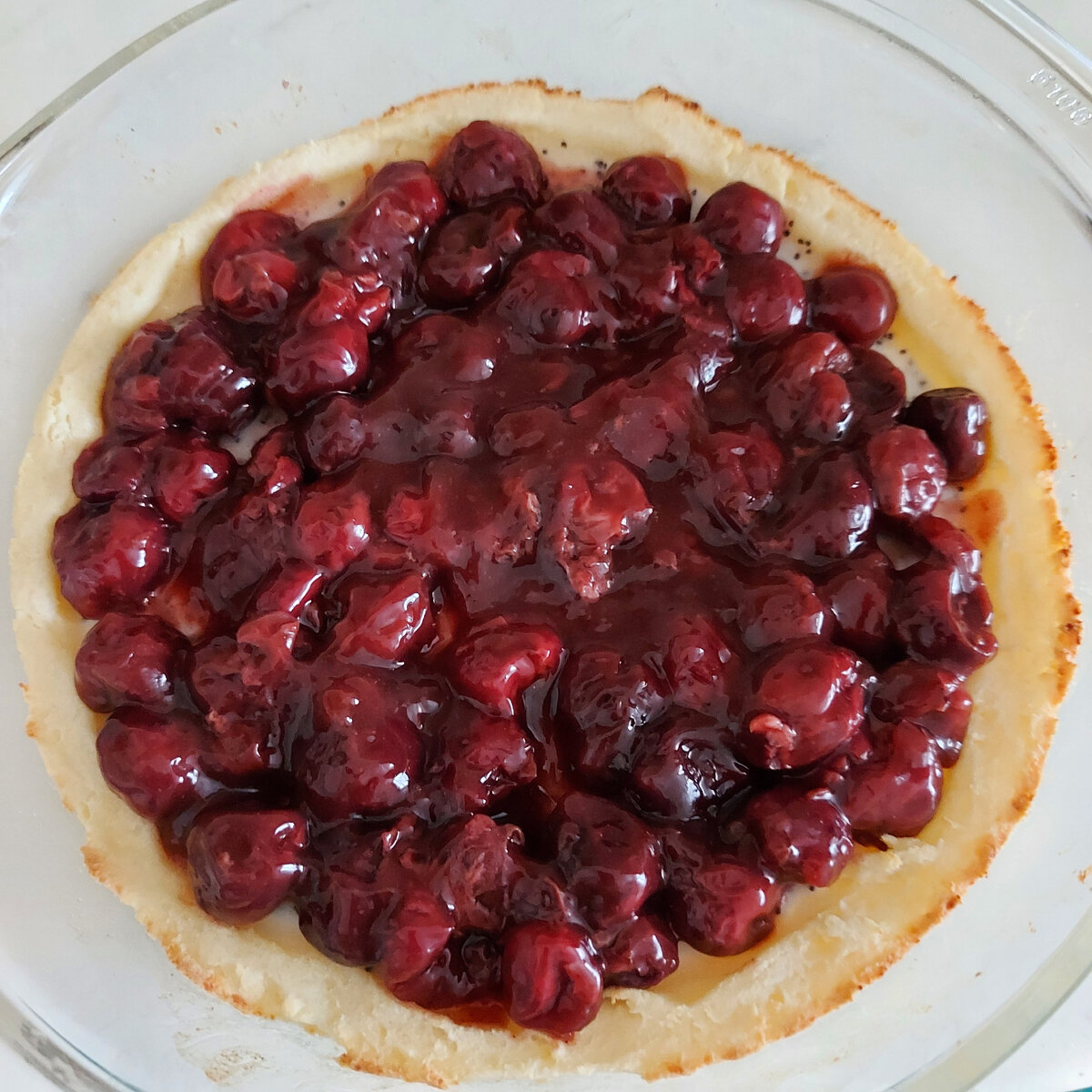 Недавняя ватрушка, вид сверху