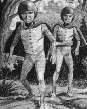 Рисунок по описанию Розы Лотти