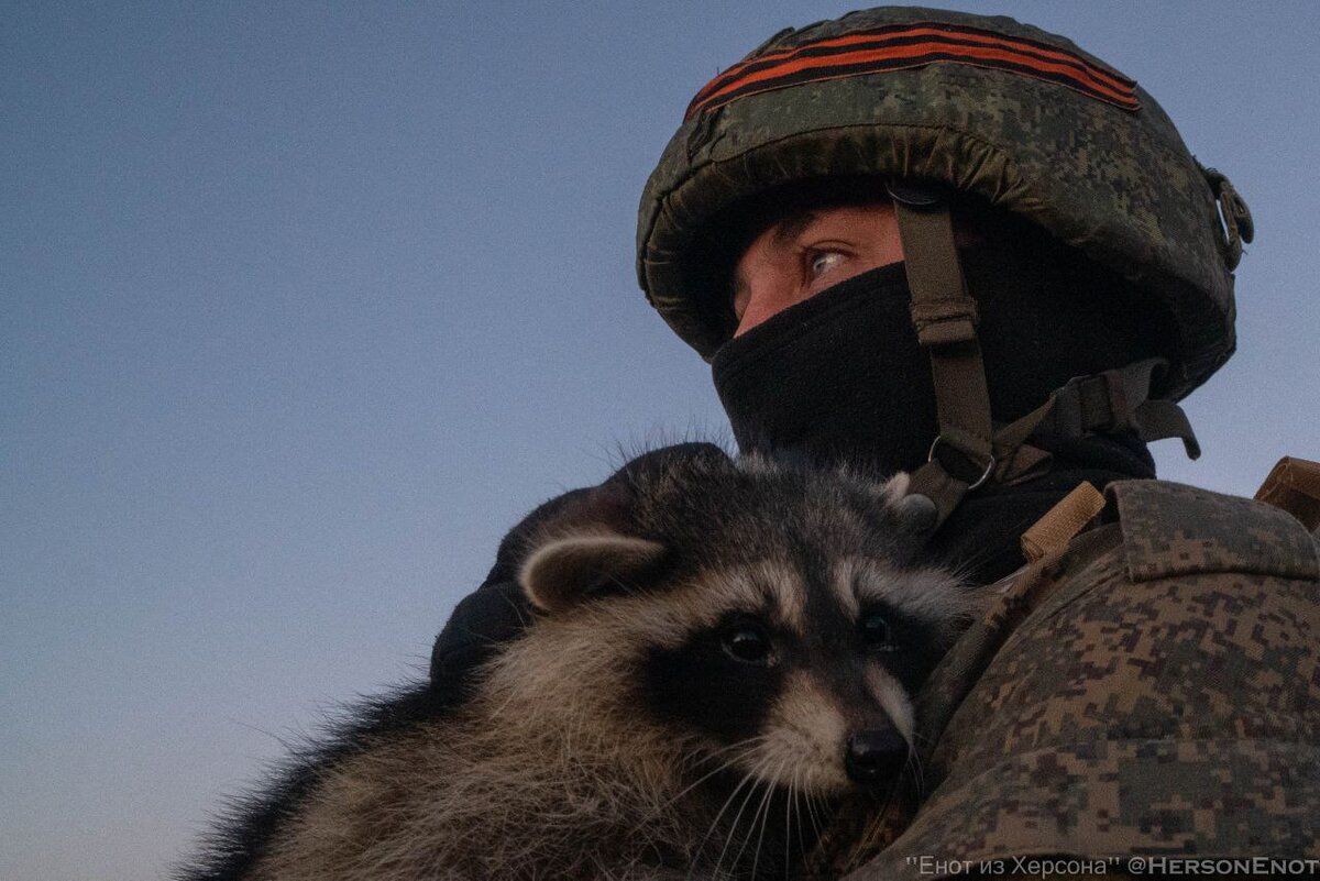 Фото: телеграм-канал Енота из Херсона/HersonEnot