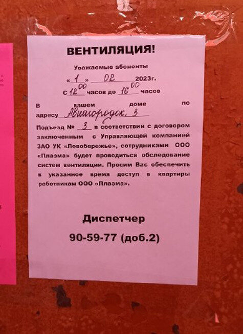     Фото: источник "МК в Омске"