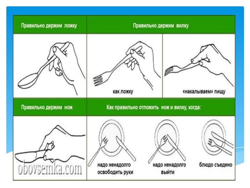 Как пользоваться руками. Картинки как правильно держать вилку. Этикет как правильно держать ложку. Как правильно держать вилку в правой руке. Какиправильно держать вилку.
