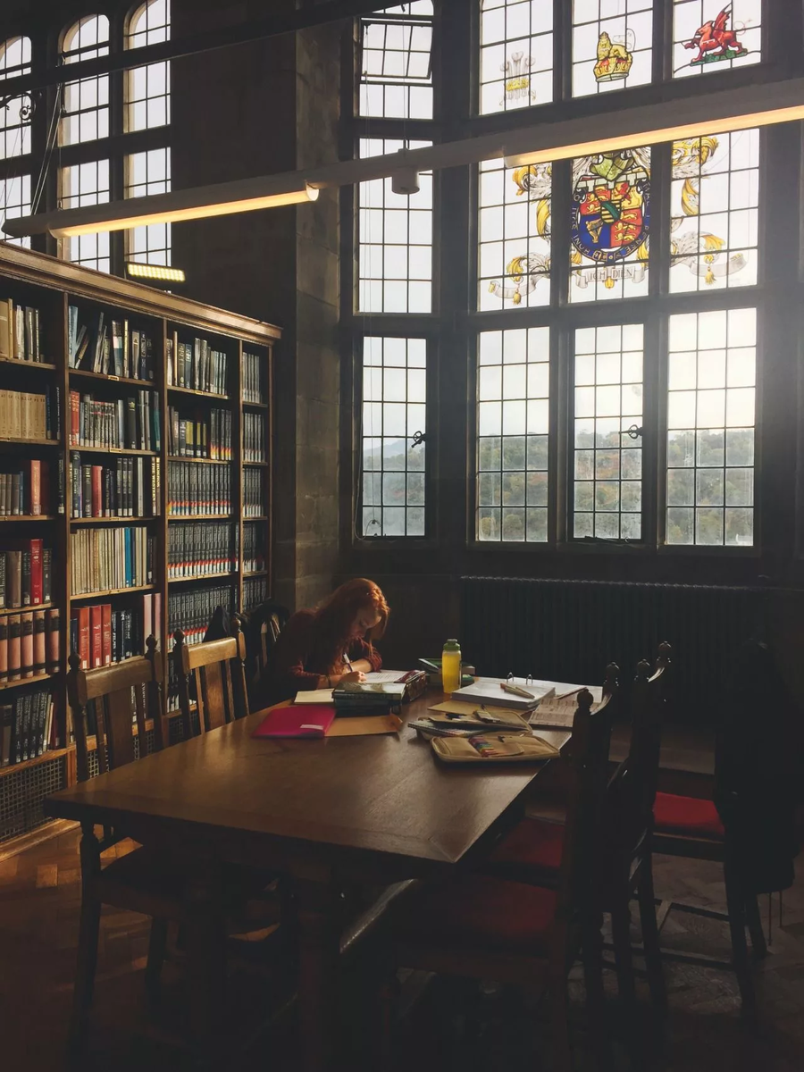 School aesthetic. Эстетика учителя Хогвартс. Библиотека Гарри Поттера. Эстетика школы. Библиотека Хогвартса.