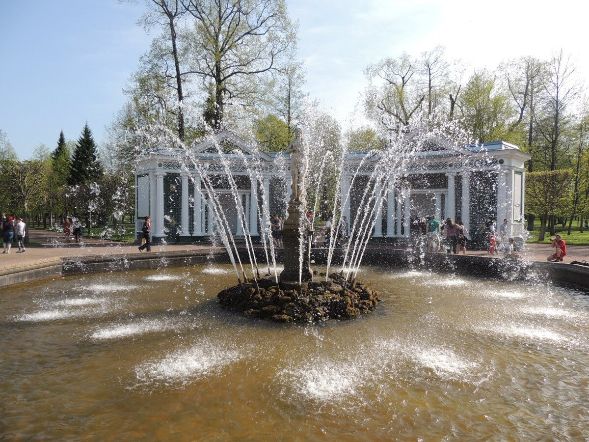 Фото из личного архива