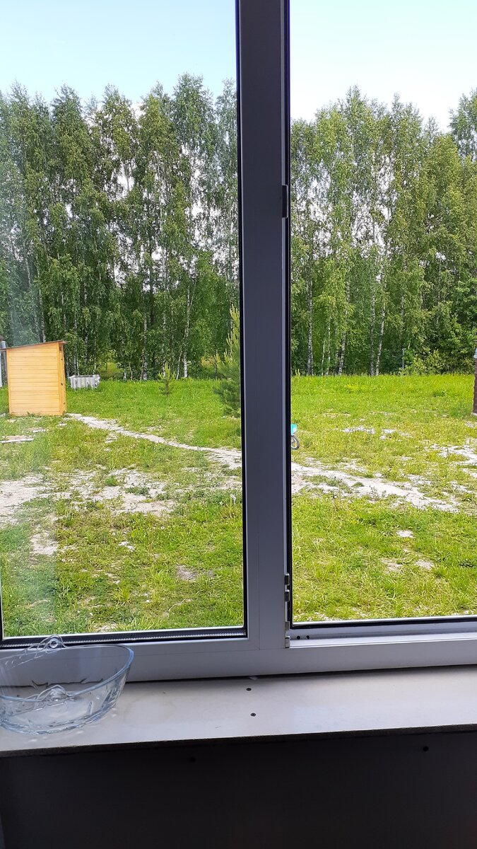 Из окна видно весь участок