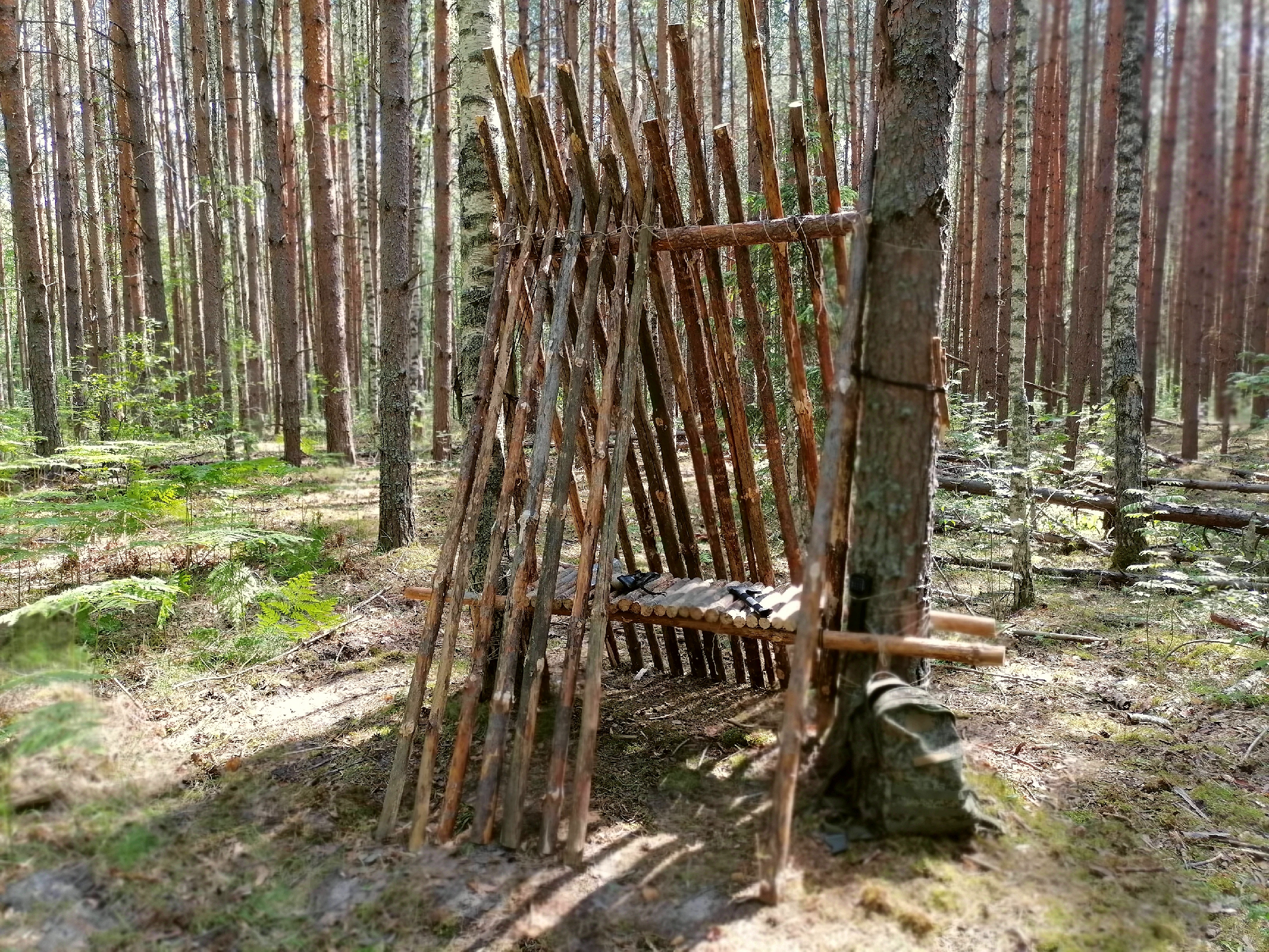 Бушкрафт дом из валежника