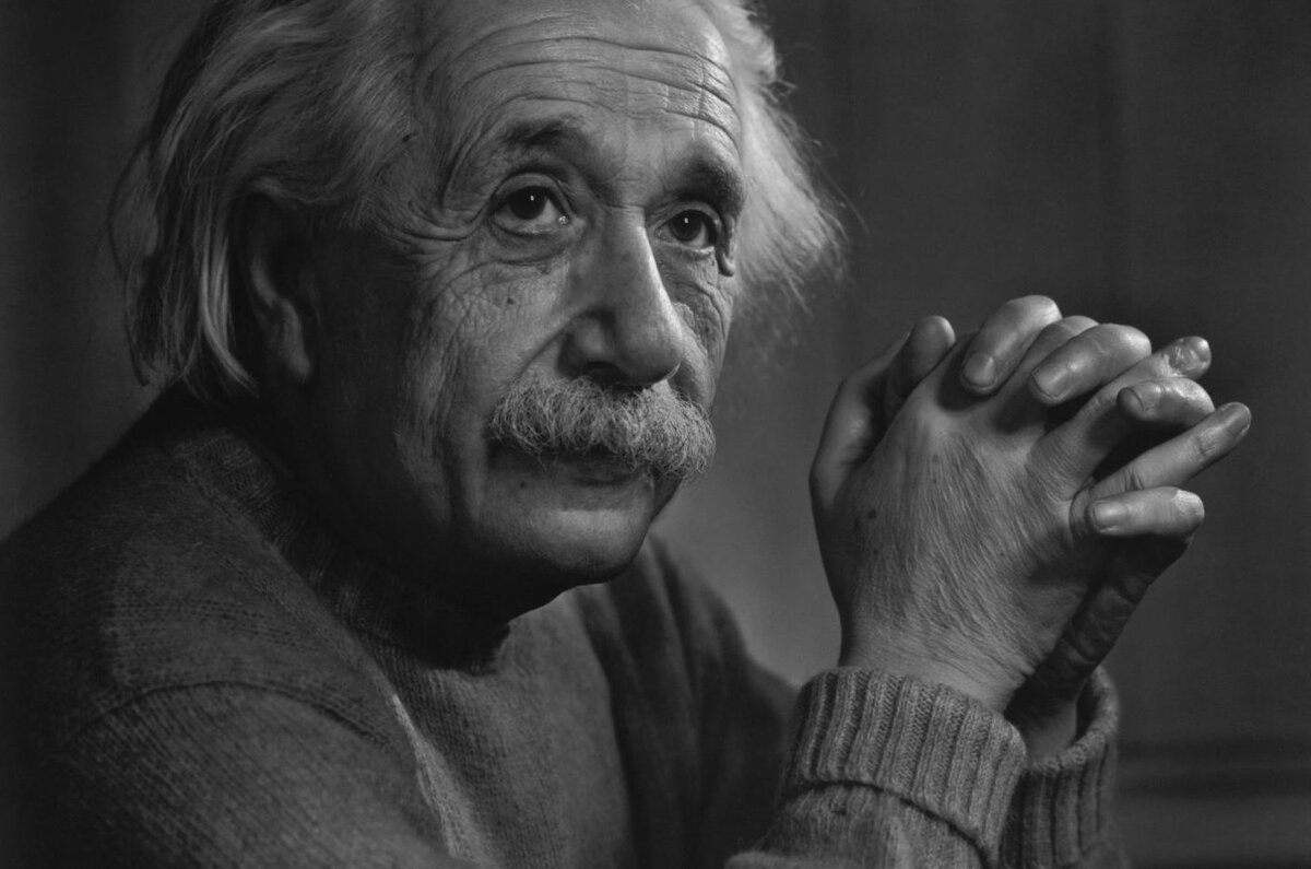 Фото из открытого источника интернет.